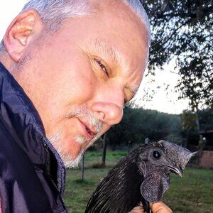 Meet your Posher, Joe